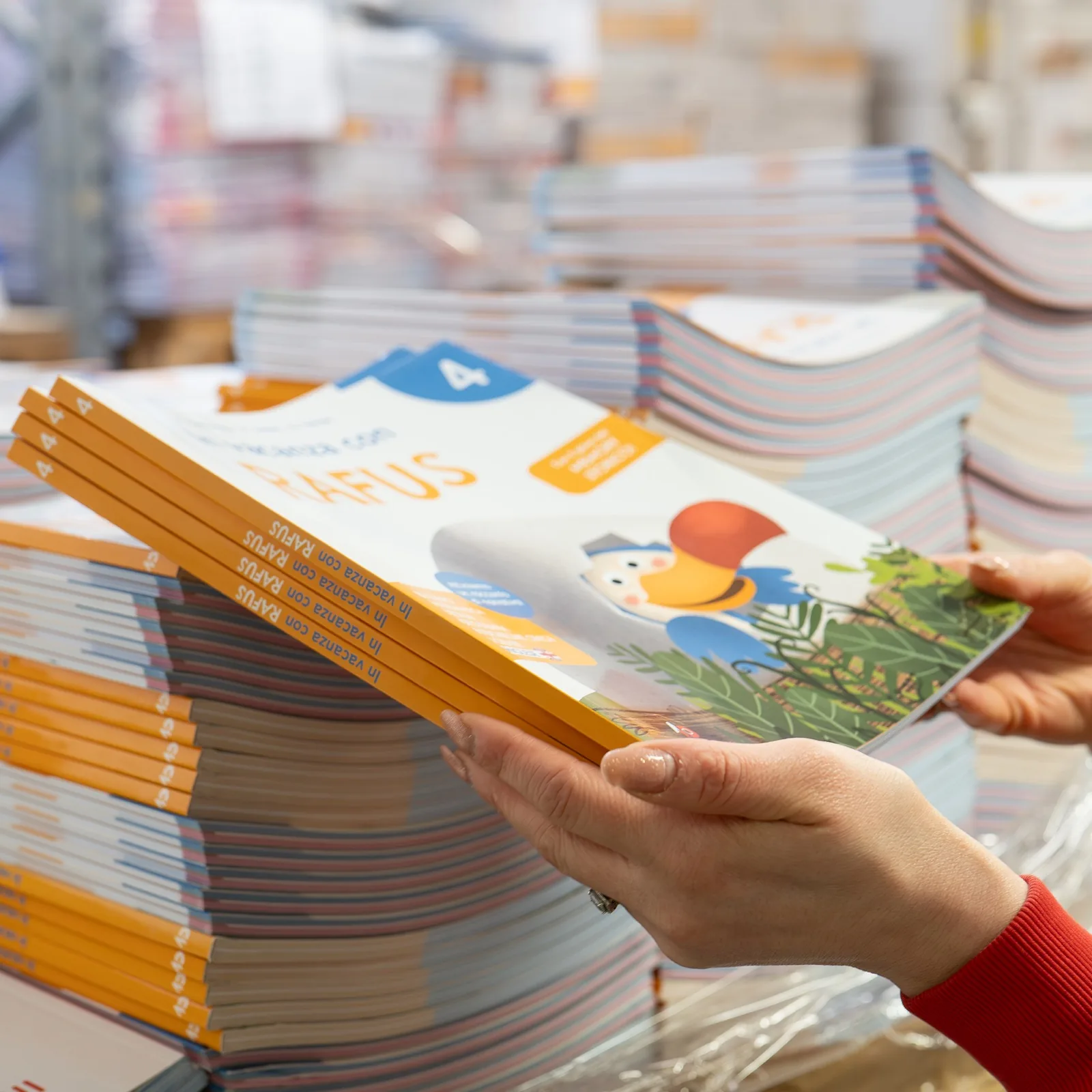 Dettaglio della gestione dei libri nel magazzino di Isola dei Libri